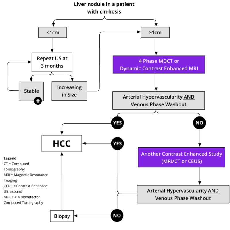 Reference Materials Insight Medical Imaging